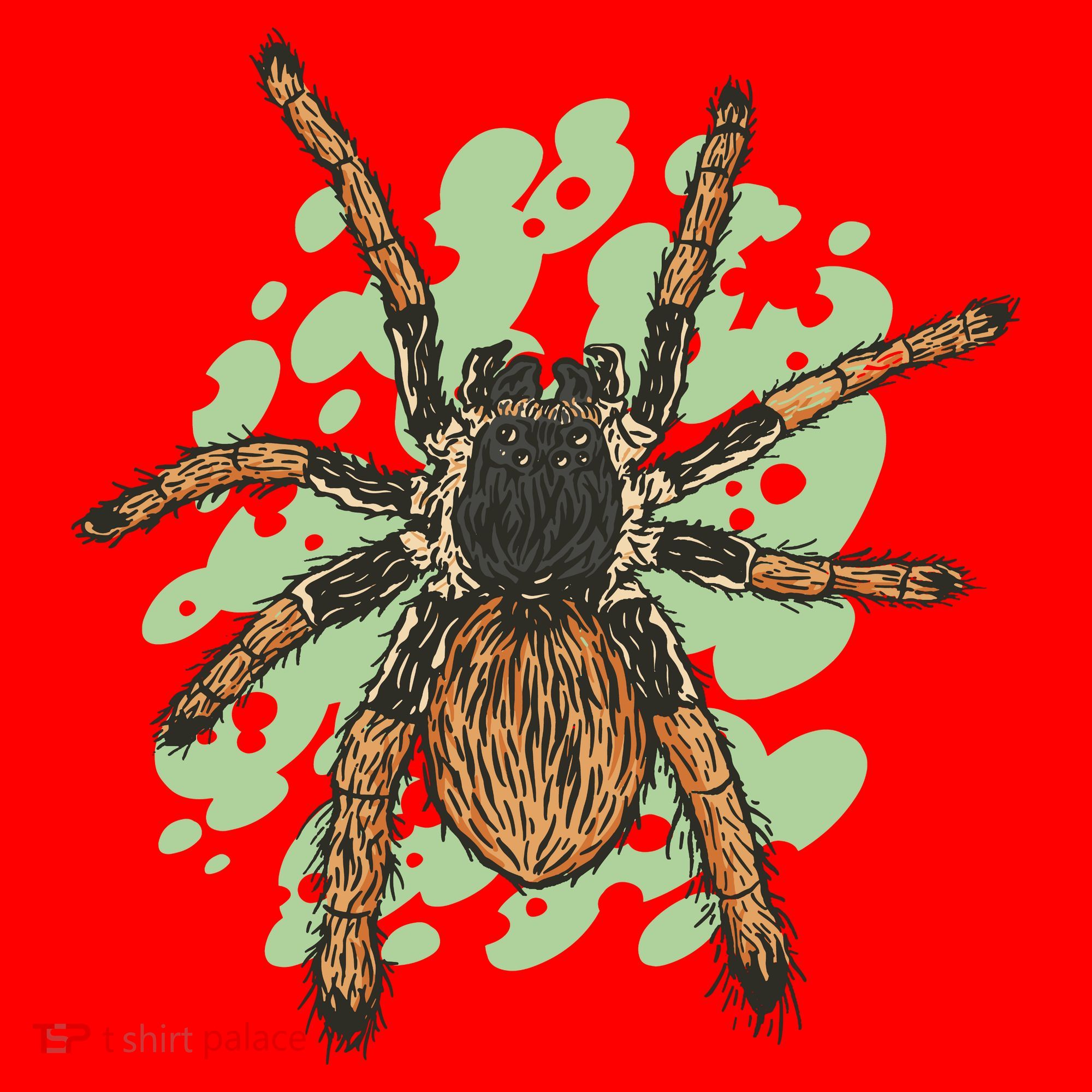 Megaphobema Robustum Tarantula Spider Santa Hat