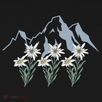 Mountains Switzerland Alps Edelweiss Basket Alpine Flower Gift Women's Hoodie thumb 2