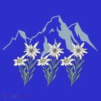 Mountains Switzerland Alps Edelweiss Basket Alpine Flower Gift Hoodie thumb 7