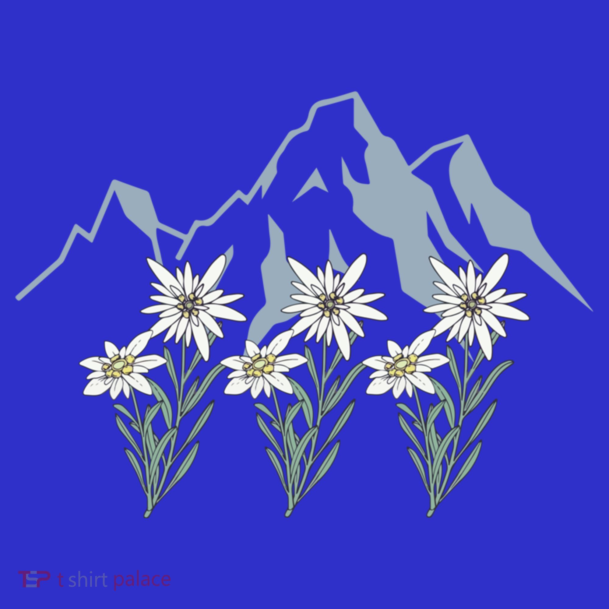 Mountains Switzerland Alps Edelweiss Basket Alpine Flower Gift Women's Tank Top