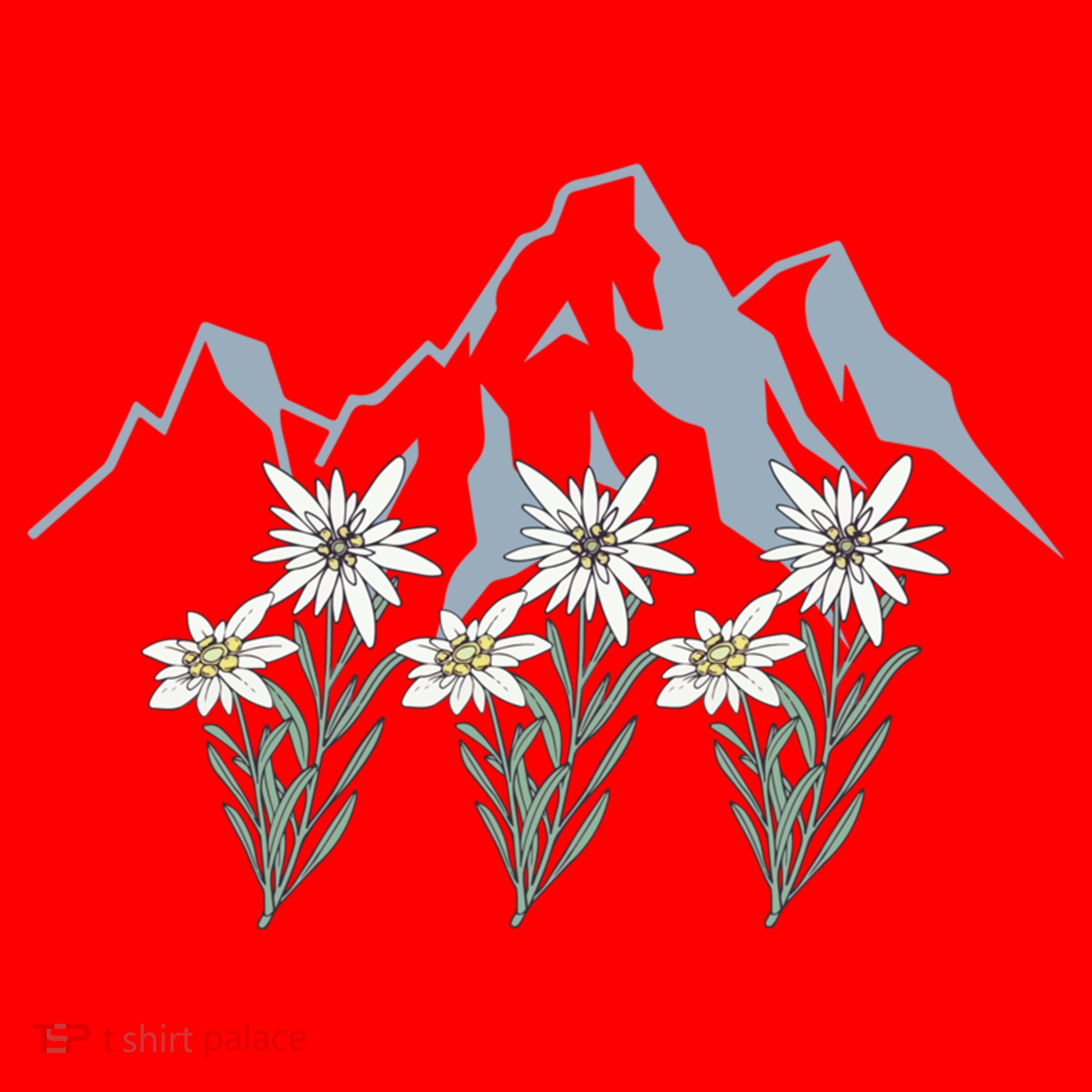 Mountains Switzerland Alps Edelweiss Basket Alpine Flower Gift Santa Hat