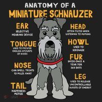 Miniature Schnauzer Anatomy Funny Dog Mum Dad Gift Tumbler thumb 3