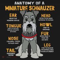Miniature Schnauzer Anatomy Funny Dog Mum Dad Gift Ornament thumb 1