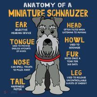 Miniature Schnauzer Anatomy Funny Dog Mum Dad Gift Long Sleeve Shirt thumb 2