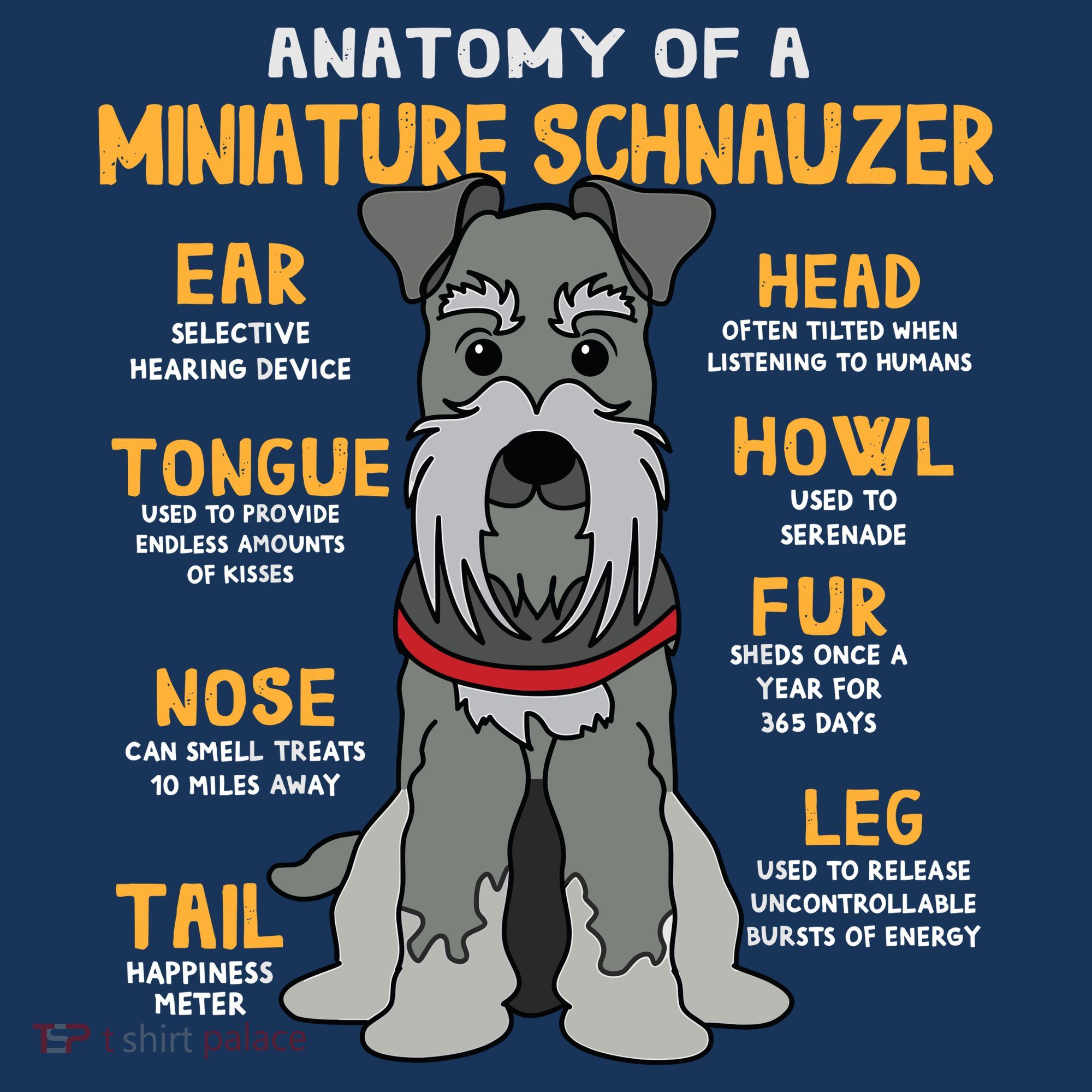 Miniature Schnauzer Anatomy Funny Dog Mum Dad Gift Women's Hoodie