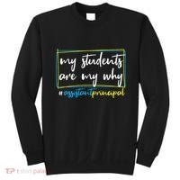 My Students Are My Why Assistant Principal Sweatshirt thumb 0