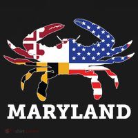 Maryland State American Usa Flag Blue Crab Kids Sweatshirt thumb 2