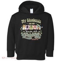 My Students Are My Lucky Charm Toddler Hoodie thumb 0