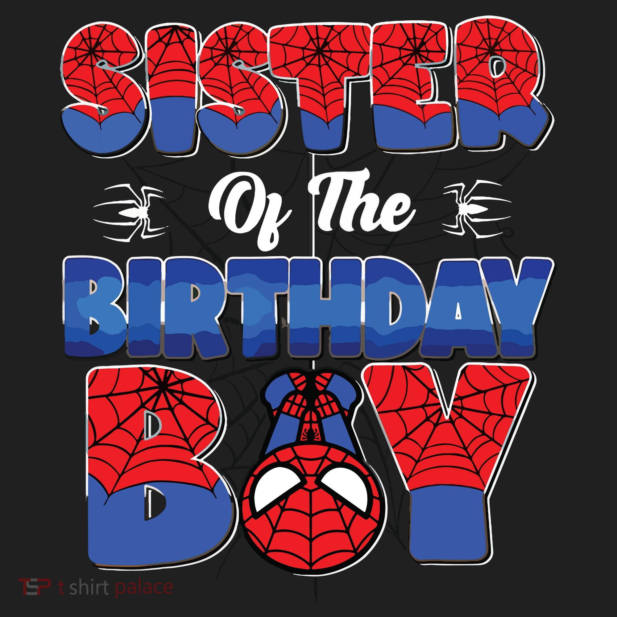 Matching Sister Birthday Boy Women's Sweatshirt