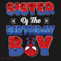 Matching Sister Birthday Boy Pajama Set thumb 2