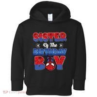 Matching Sister Birthday Boy Toddler Hoodie thumb 0