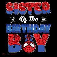 Matching Sister Birthday Boy Toddler Hoodie thumb 2