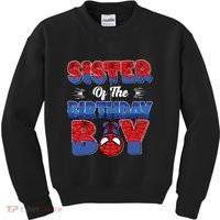 Matching Sister Birthday Boy Kids Sweatshirt thumb 0