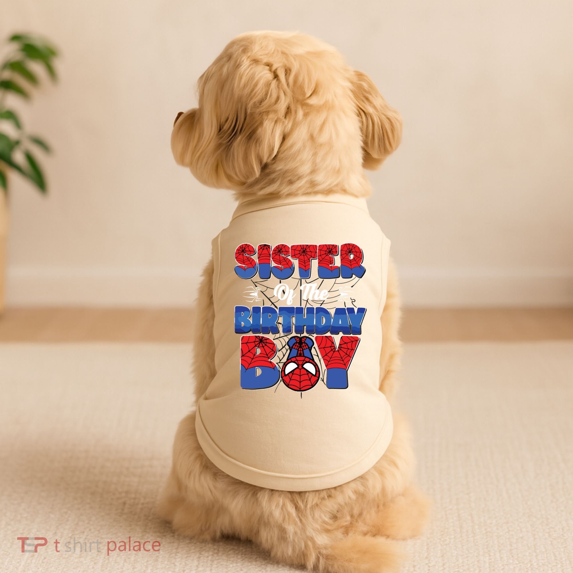 Matching Sister Birthday Boy Doggie Tank