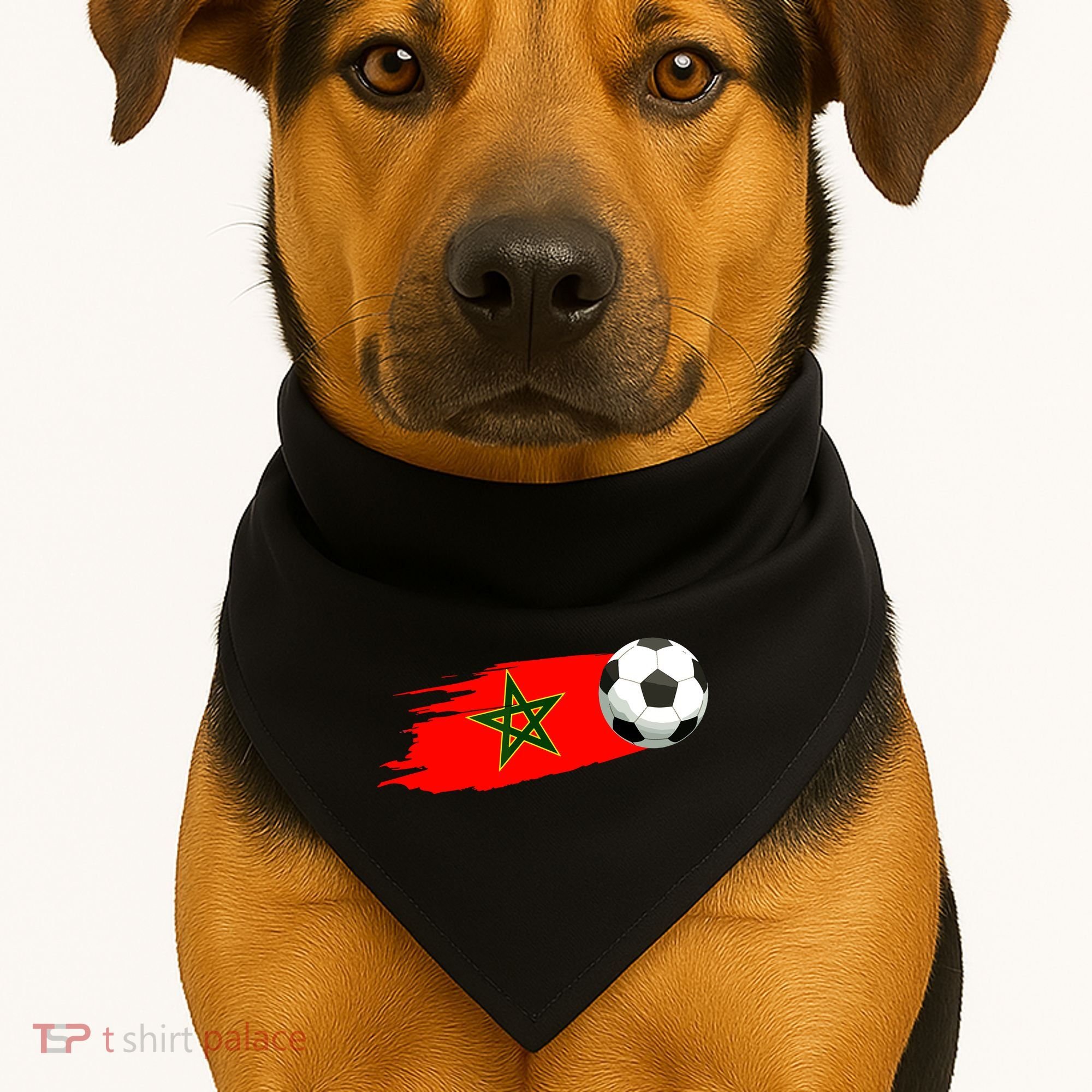 Morocco Soccer Ball Morocco Flag Jersey Morocco Football USA-Made Doggie Bandana