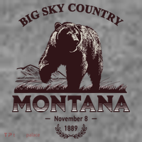 Montana State Big Sky Country Country Toddler Hoodie thumb 2