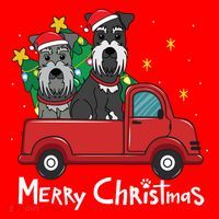 Miniature Schnauzer Christmas Truck Tree Mom Dad Xmas Gift Santa Hat thumb 1
