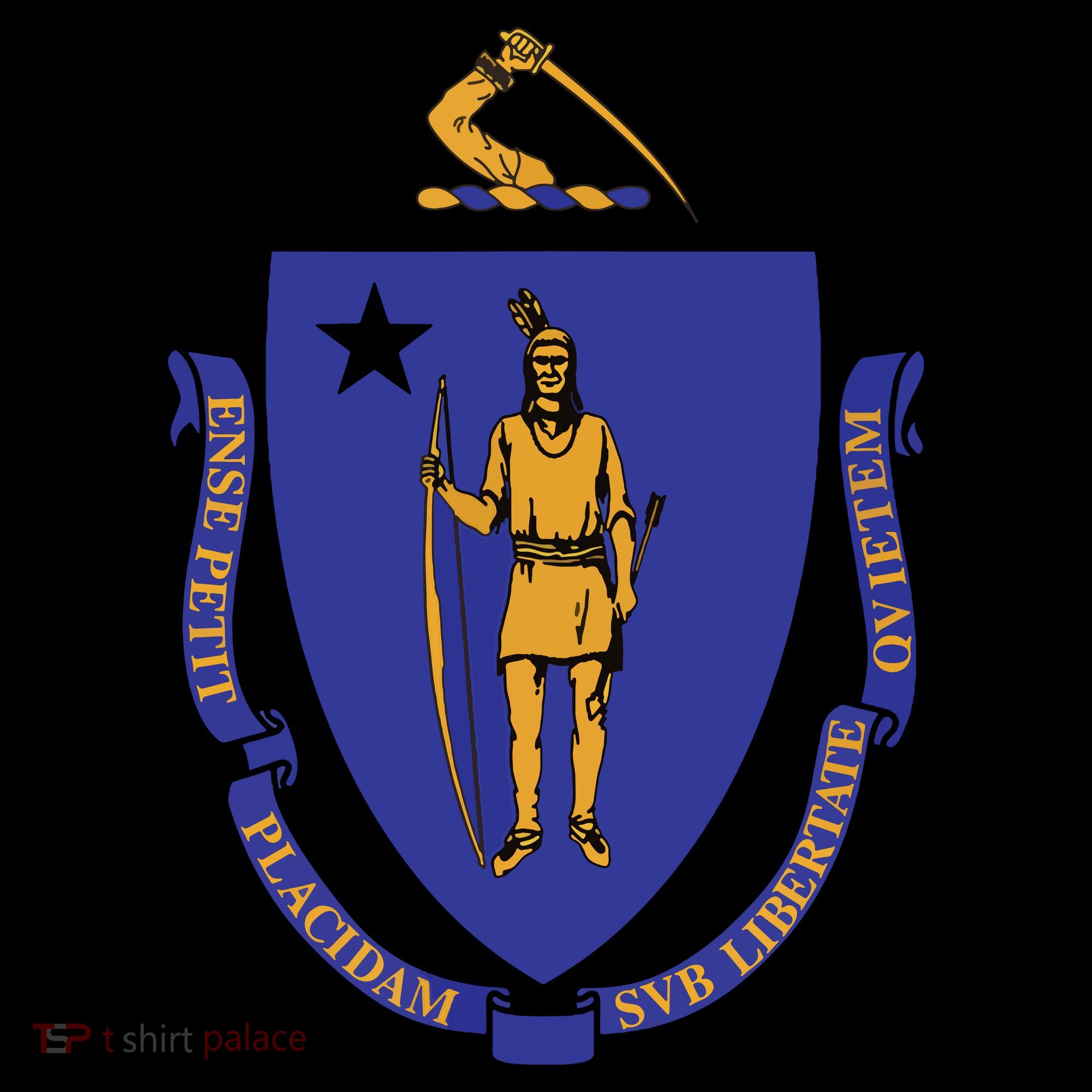 Massachusetts State Flag Us State Flag Button