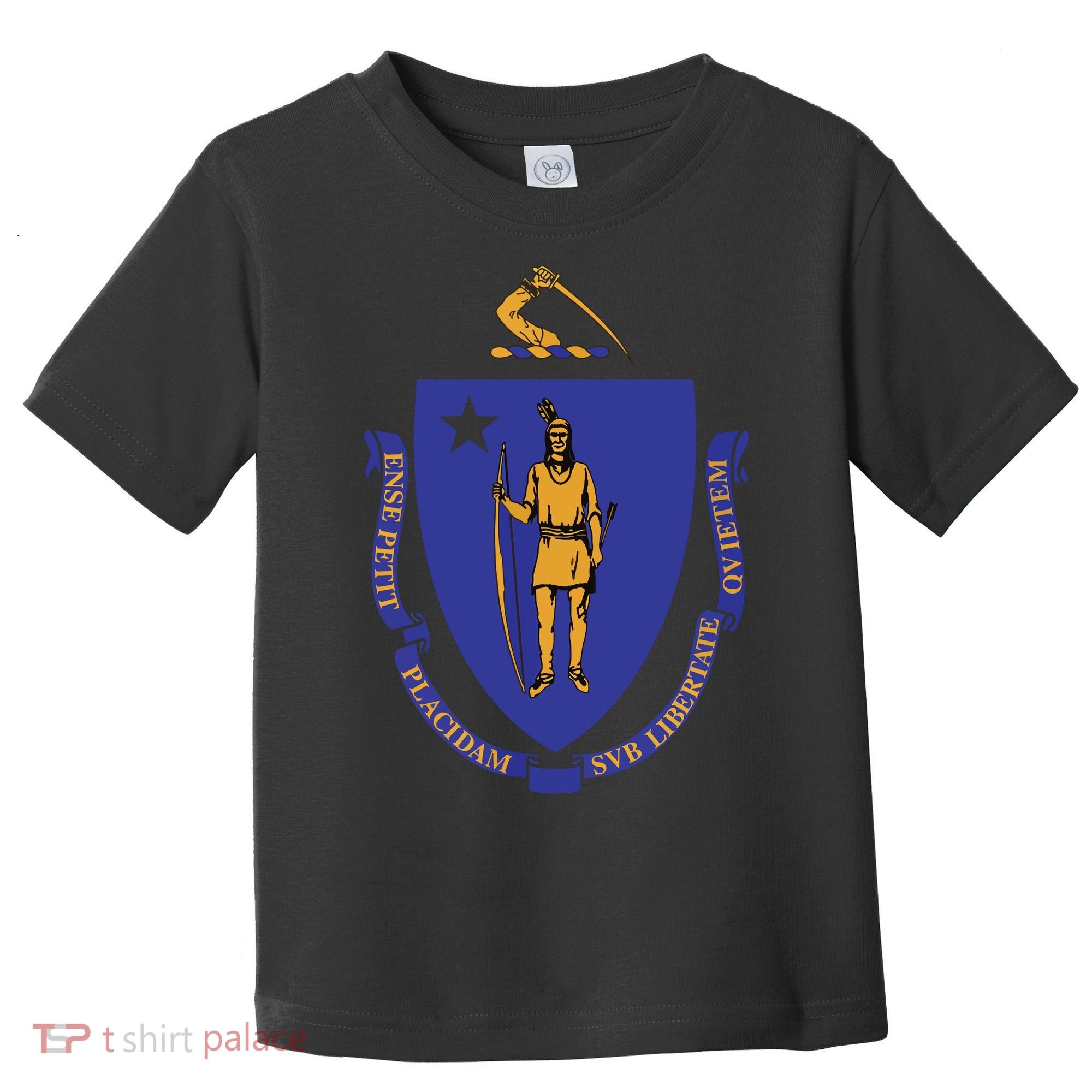Massachusetts State Flag Us State Flag Toddler T-Shirt