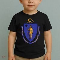 Massachusetts State Flag Us State Flag Toddler T-Shirt thumb 2