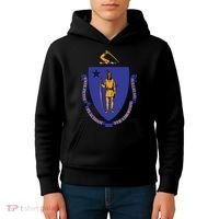 Massachusetts State Flag Us State Flag Kids Hoodie thumb 4