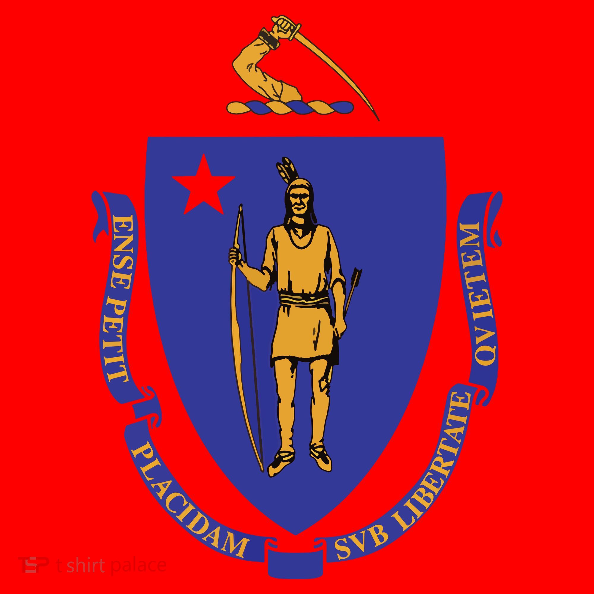 Massachusetts State Flag Us State Flag Santa Hat