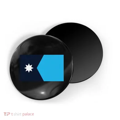 Magnet