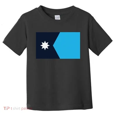 Minnesota State Flag Toddler T-Shirt