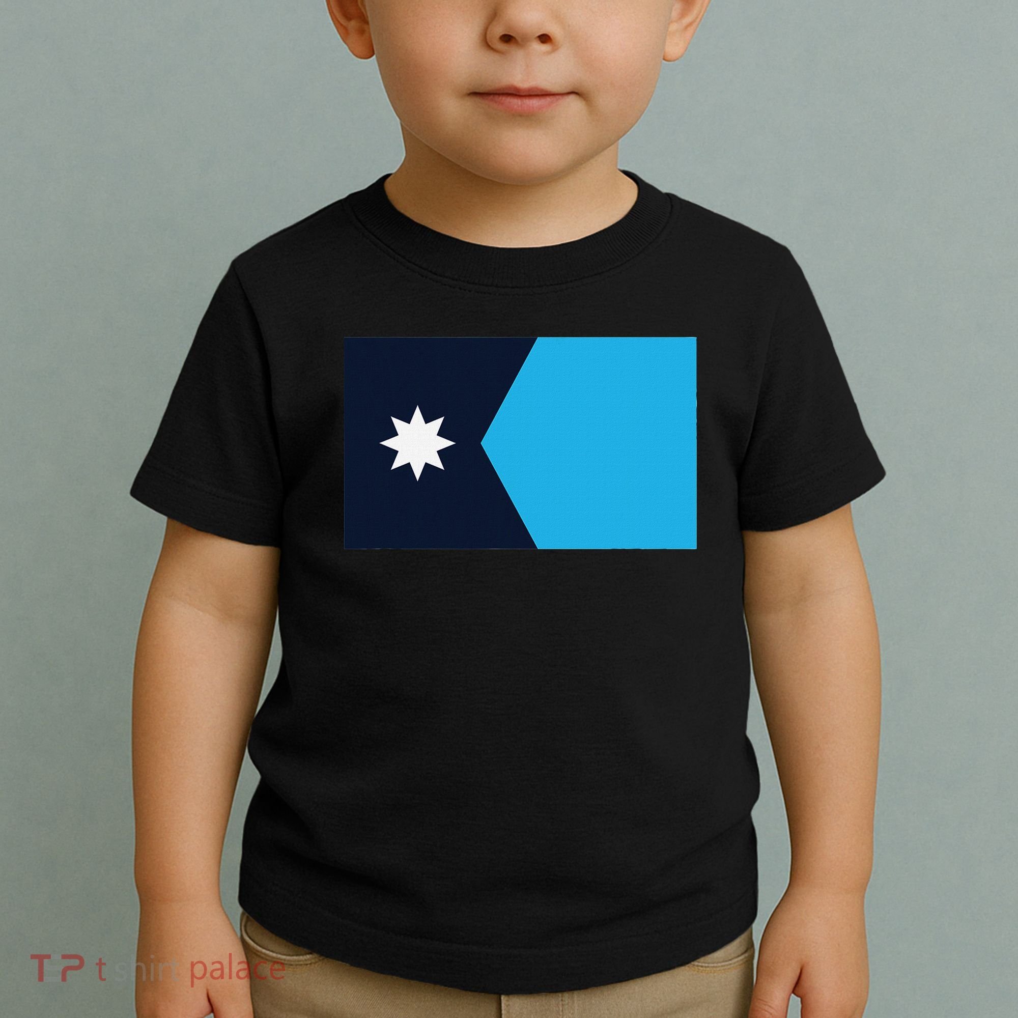 Minnesota State Flag Toddler T-Shirt