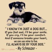 Miniature Schnauzer Funny Gift Tote Bag thumb 4