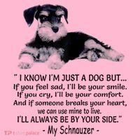 Miniature Schnauzer Funny Gift Coaster thumb 2