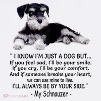 Miniature Schnauzer Funny Gift Toddler T-Shirt thumb 4