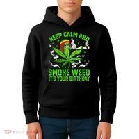 Marijuana Smoker Funny Weed Birthday Party Cannabis Stoner Kids Hoodie thumb 4