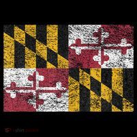 MARYLAND STATE FLAG ANNAPOLIS BALTIMORE CHESAPEAKE BAY Kids T-Shirt thumb 4