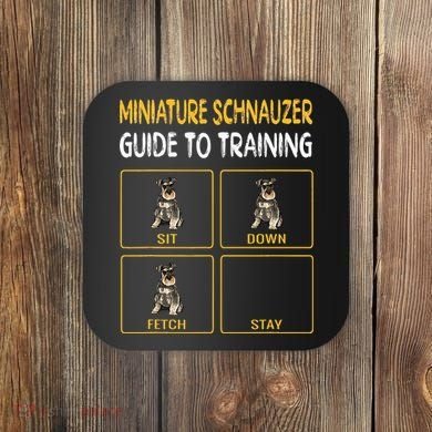 Miniature Schnauzer Guide To Training Dog Obedience Coaster