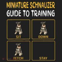 Miniature Schnauzer Guide To Training Dog Obedience Tumbler thumb 3