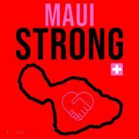 Maui Strong Hawaii Wildfire Relief Santa Hat thumb 1