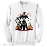 Miniature Schnauzer Halloween Costume Mummy Witch Ghost Dog Sweatshirt thumb 0