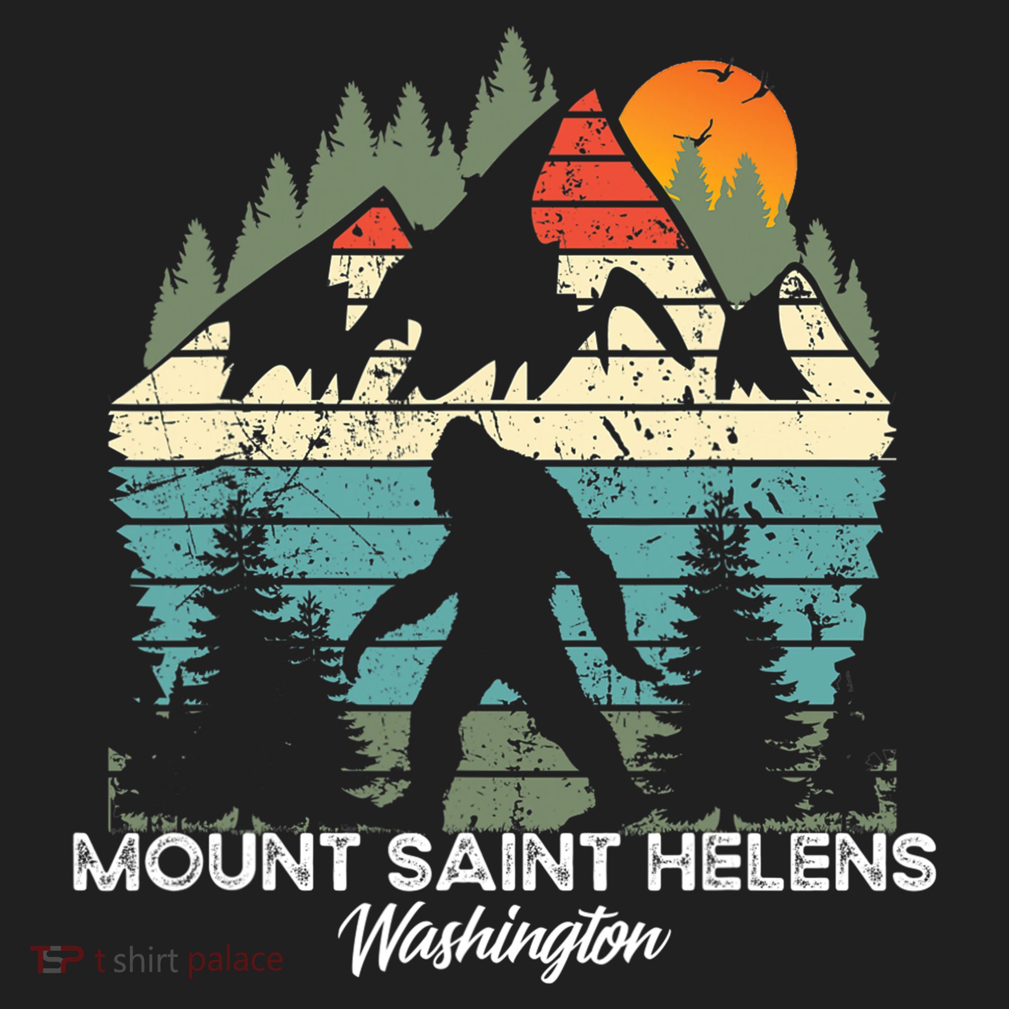 Mount Saint Helens Washington National Park Retro 80's Tumbler