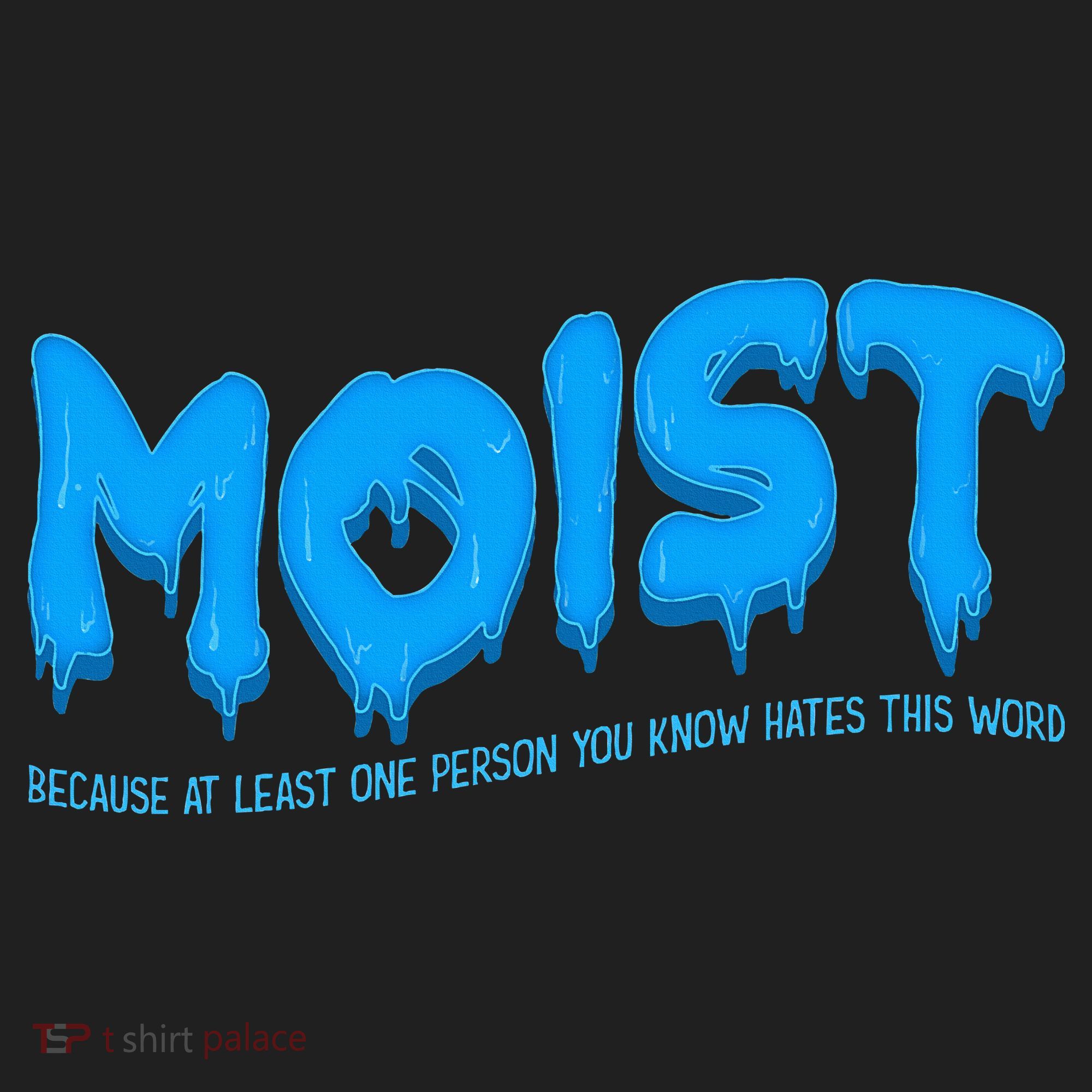 Moist Sarcastic Inappropriate Beanie