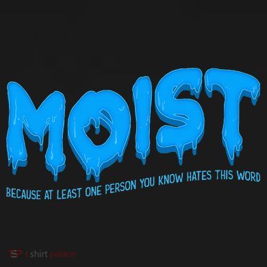 Moist Sarcastic Inappropriate Ornament