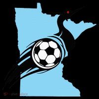 Minnesota Soccer Loon Toddler Hoodie thumb 2