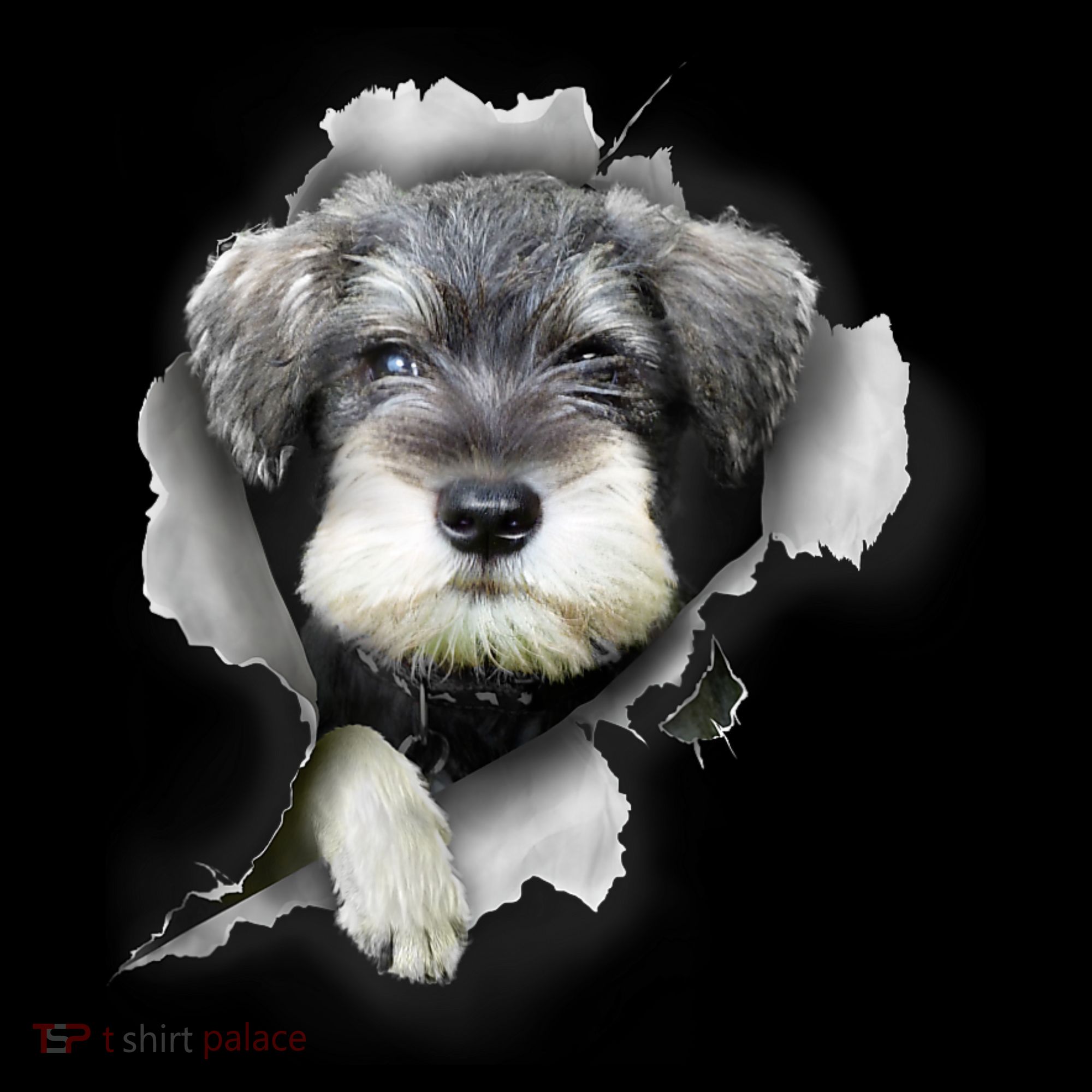 Mini Schnauzer Miniature Schnauzer Funny Schnauzer Long Sleeve Shirt
