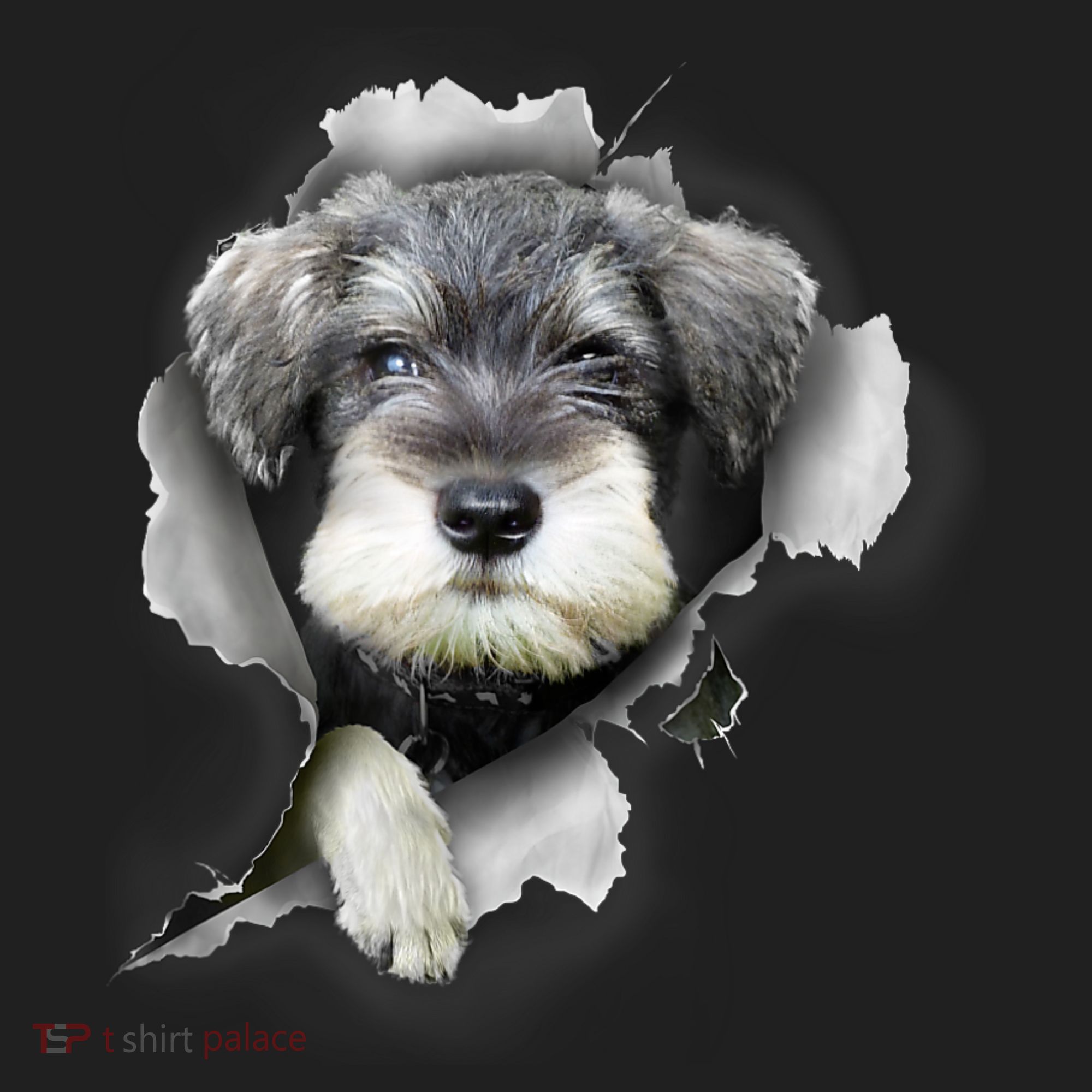 Mini Schnauzer Miniature Schnauzer Funny Schnauzer Tumbler