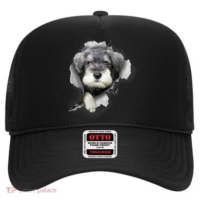 Mini Schnauzer Miniature Schnauzer Funny Schnauzer Hat