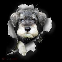 Mini Schnauzer Miniature Schnauzer Funny Schnauzer Women's T-Shirt thumb 6
