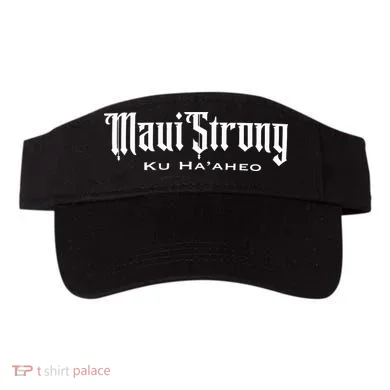 Visor