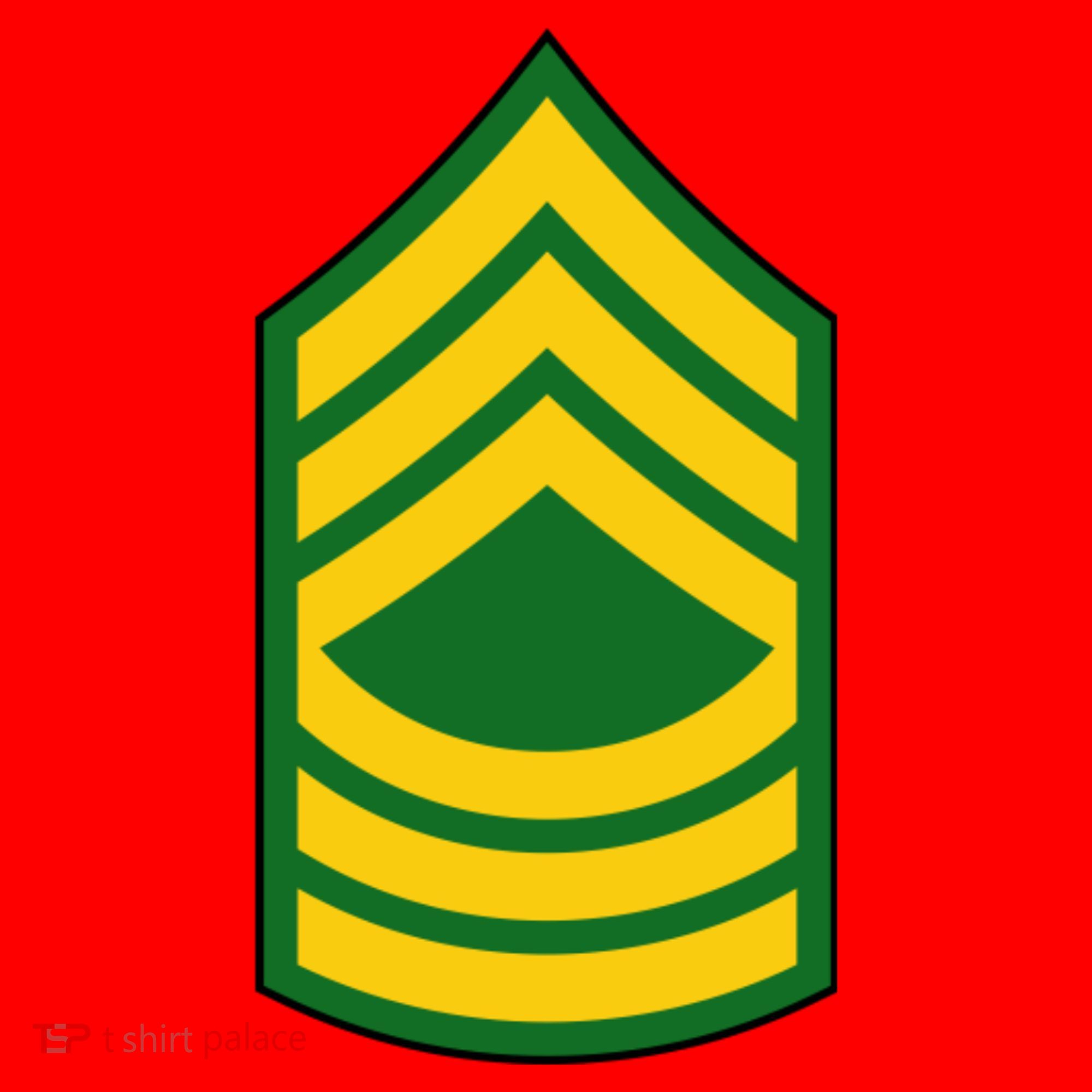 Master Sergeant Military Badge Santa Hat
