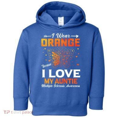 Multiple Sclerosis Ms Warrior I Wear Orange Auntie Gift Toddler Hoodie