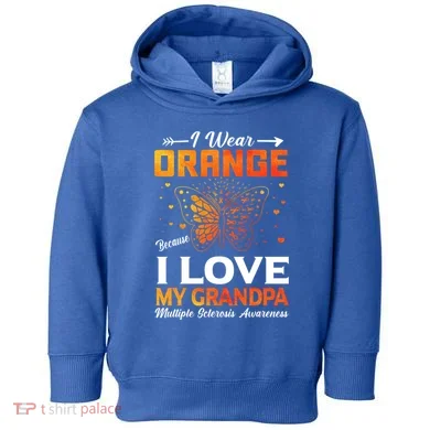 Toddler Hoodie